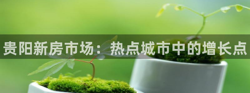 龙湖狮山天街娱乐：贵阳新房市场：热点城市中的增长点