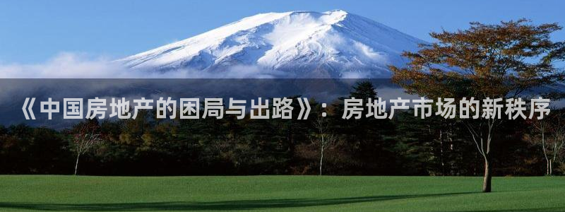 天狮娱乐怎么做代理：《中国房地产的困局与出路》：房地产市场的