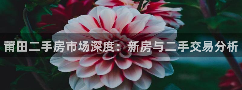 天狮娱乐下载网址：莆田二手房市场深度：新房与二手交易分析