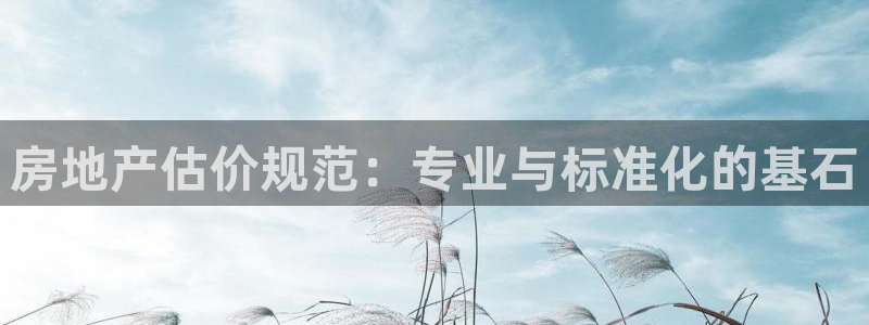 天狮娱乐负责人是：房地产估价规范：专业与标准化的基石