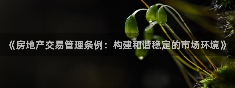 天狮娱乐-扣 股东：《房地产交易管理条例：构建和谐稳定的市场