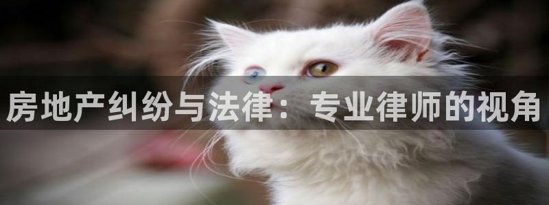 天狮娱乐无法登录怎么办：房地产纠纷与法律：专业律师的视角