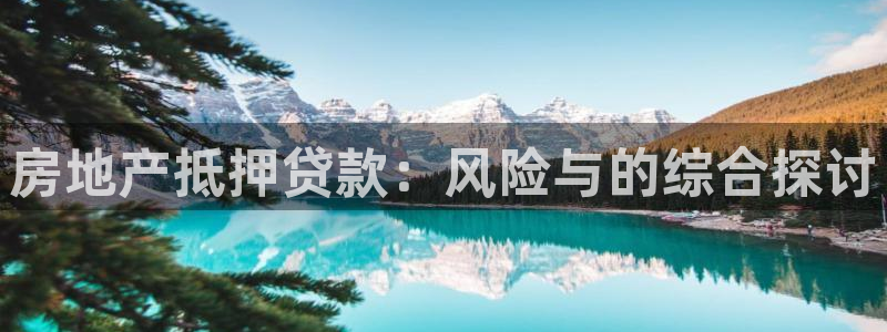 天狮娱乐 b内部61166：房地产抵押贷款：风险与的综合探讨