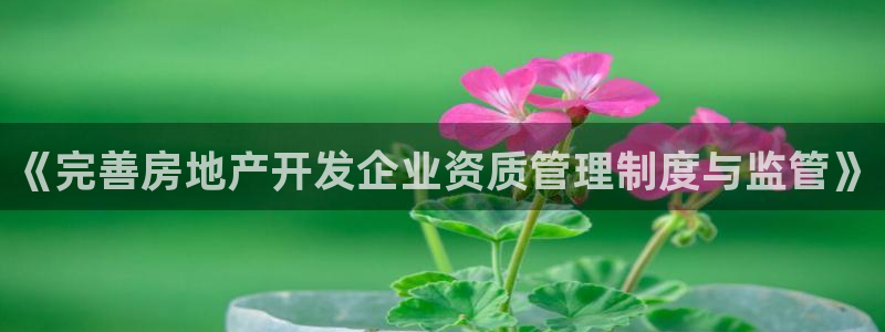 天狮娱乐待遇：《完善房地产开发企业资质管理制度与监管》