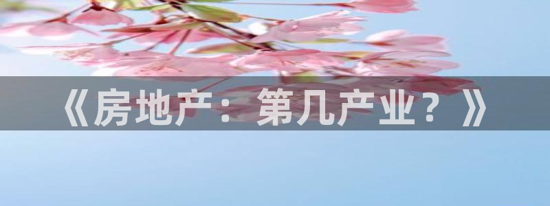 天狮娱乐最新版本：《房地产：第几产业？》
