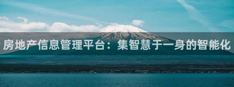 天狮娱乐来0 1311：房地产信息管理平台：集智慧于一身的智