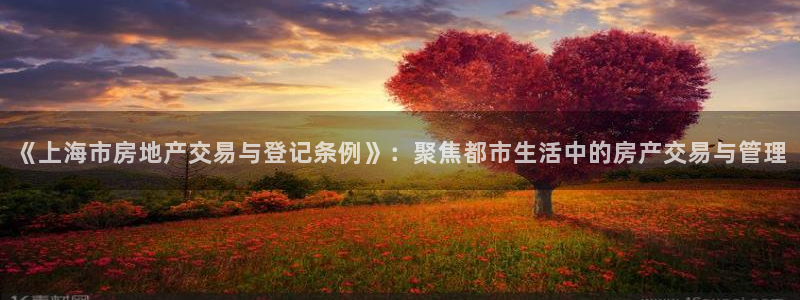 有玩天狮娱乐：《上海市房地产交易与登记条例》：聚焦都市生活中