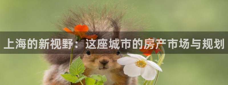 天狮娱乐 82104直招q：上海的新视野：这座城市的房产市场