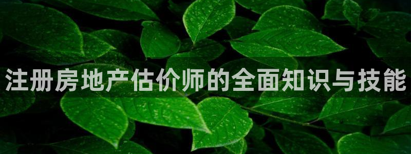 天狮娱乐138：注册房地产估价师的全面知识与技能