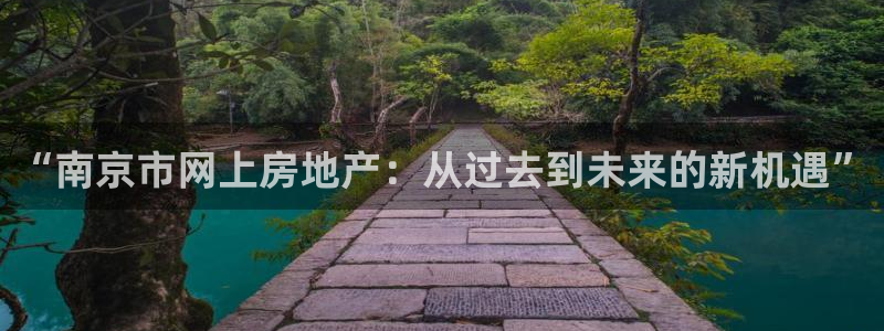 天狮娱乐代理：“南京市网上房地产：从过去到未来的新机遇”