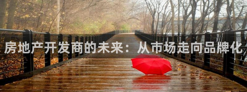 天狮娱乐950954：房地产开发商的未来：从市场走向品牌化