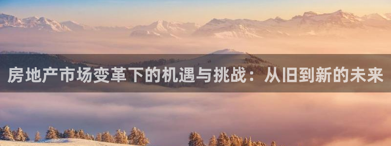天狮娱乐成立：房地产市场变革下的机遇与挑战：从旧到新的未来