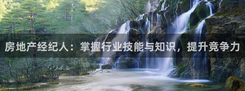 天狮娱乐内部主管：房地产经纪人：掌握行业技能与知识，提升竞争