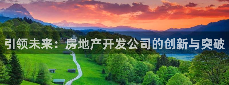 天狮娱乐走势图：引领未来：房地产开发公司的创新与突破
