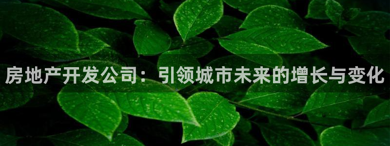 天狮娱乐能赚钱吗