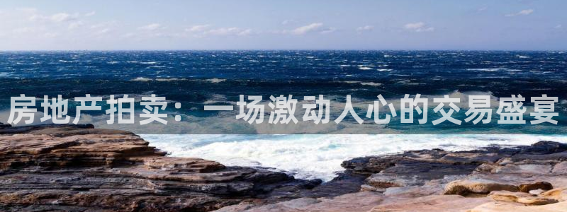 天狮娱乐怎么下载：房地产拍卖：一场激动人心的交易盛宴