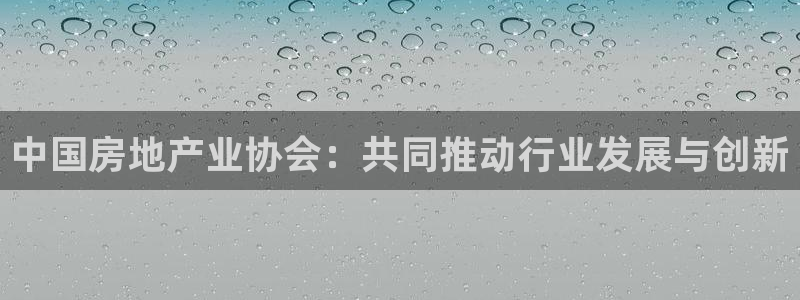 天狮娱乐 官方注册官网：中国房地产业协会：共同推动行业发展与