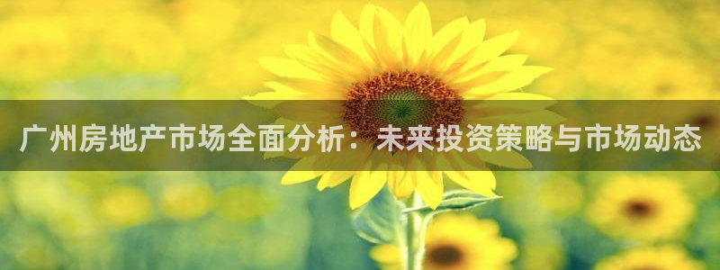 天狮娱乐客服电话：广州房地产市场全面分析：未来投资策略与市场