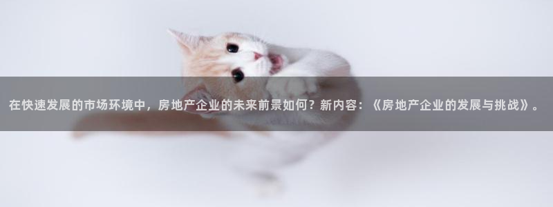 天狮娱乐主管汽车之家：在快速发展的市场环境中，房地产企业的未