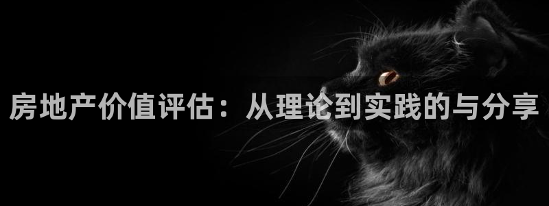 天狮娱乐平台下载：房地产价值评估：从理论到实践的与分享