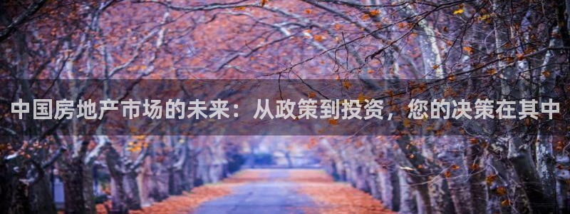 天狮娱乐代理最高多少：中国房地产市场的未来：从政策到投资，您