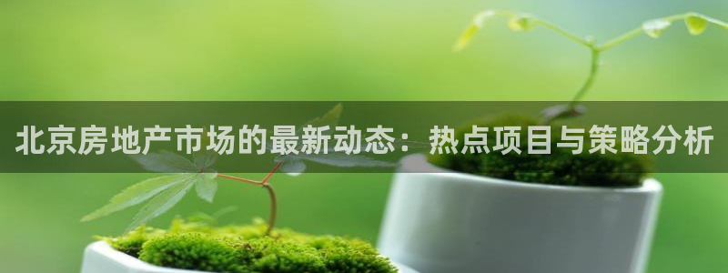 天狮娱乐 卧j招商60447：北京房地产市场的最新动态：热点