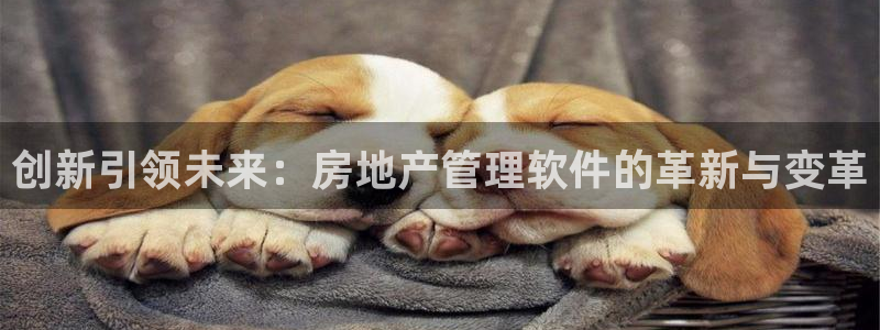 天狮娱乐q 去108-306：创新引领未来：房地产管理软件的