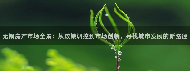 天狮娱乐分分彩：无锡房产市场全景：从政策调控到市场创新，寻找