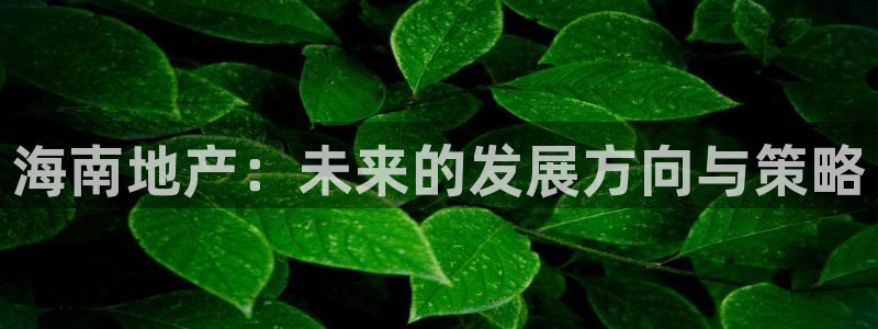天狮娱乐是正规平台吗：海南地产：未来的发展方向与策略