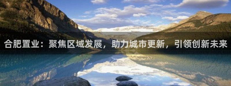 天狮娱乐网：合肥置业：聚焦区域发展，助力城市更新，引领创新未