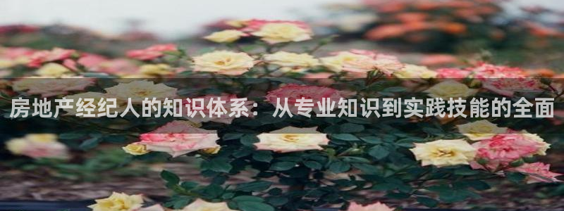天狮娱乐主管：房地产经纪人的知识体系：从专业知识到实践技能的