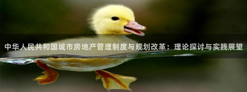 天狮娱乐1990：中华人民共和国城市房地产管理制度与规划改革