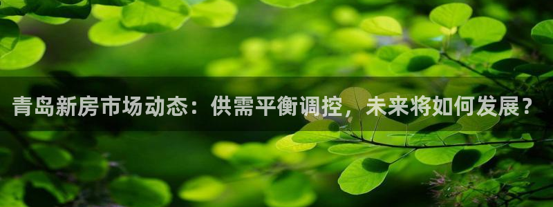 天狮娱乐b 判官是什么：青岛新房市场动态：供需平衡调控，未来